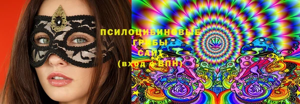 мдпв Гатчина