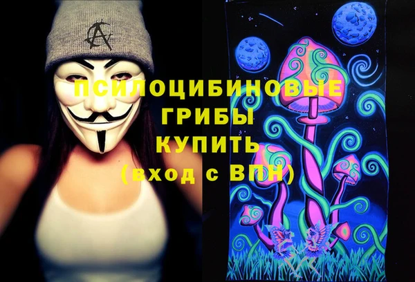кокс Осташков