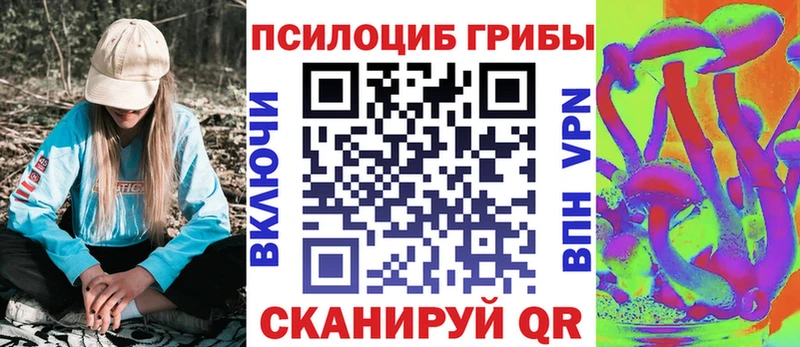 Галлюциногенные грибы Psilocybine cubensis  Бугуруслан 