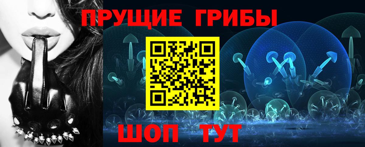 Псилоцибиновые грибы Psilocybe  Вход с VPN  Бугуруслан 