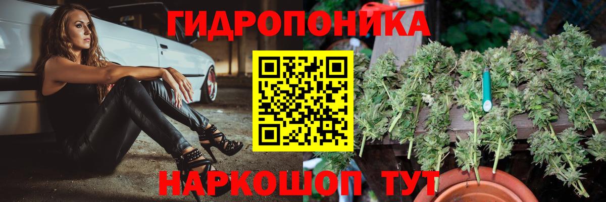 Конопля LSD WEED  Бошки Шишки сатива  Бугуруслан  Шишки марихуана сатива 